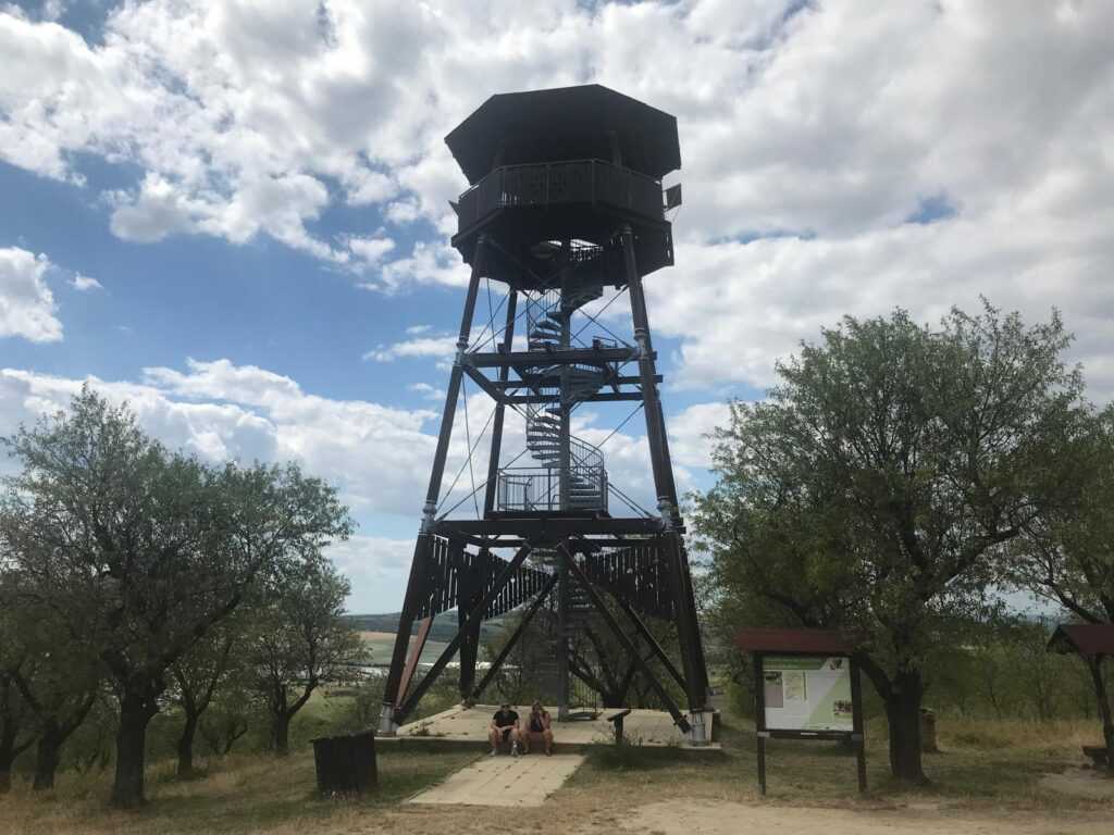 Mandloňová stezka v Hustopečích