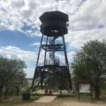 Mandloňová stezka v Hustopečích: Romantická procházka mezi kvetoucími stromy