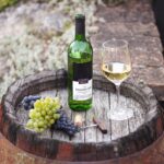 Vinařský dům Sedlec – vinařství