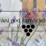 Ubytování pod zámeckou zdí