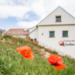 Penzion Vinařský dům Sedlec