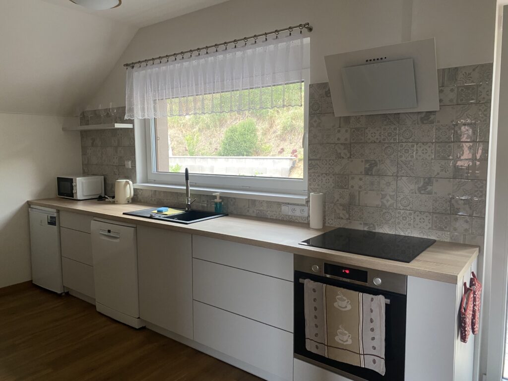 Pronájem zcela nového apartmánu ve vinařské obci Strachotín lokalita pod Pálavou