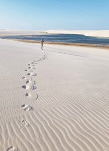 320-54d24056c51242fda1501a756cc93cae