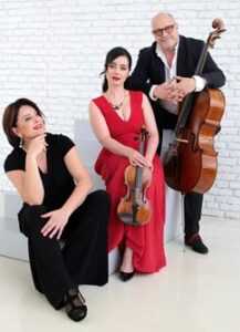 320-ac6a63a6182b4bc5a61dfd33285f7fe8