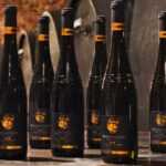 Prohlídka Habánských sklepů ve Velkých Bílovicích: 90 minut historie, degustace 5 vín a dárkový set 6 lahví domů