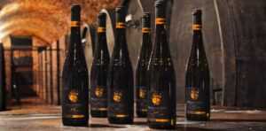 Prohlídka Habánských sklepů ve Velkých Bílovicích: 90 minut historie, degustace 5 vín a dárkový set 6 lahví domů