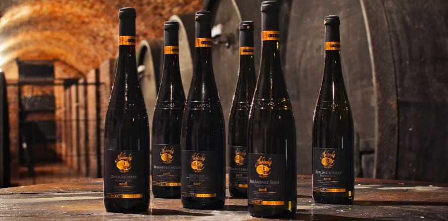 Prohlídka Habánských sklepů ve Velkých Bílovicích: 90 minut historie, degustace 5 vín a dárkový set 6 lahví domů