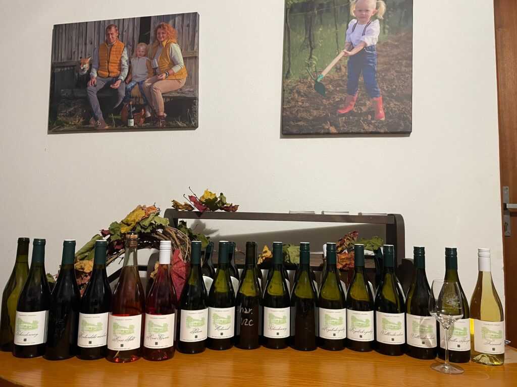 Vinařství Doležal – rodinný příběh vína, tradice a odkazu, který pokračuje