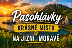 Pasohlávky jsou ideálním místem pro rodinnou dovolenou, romantický víkend ve vinařské oblasti i aktivní pobyt plný turistiky a cyklistiky.